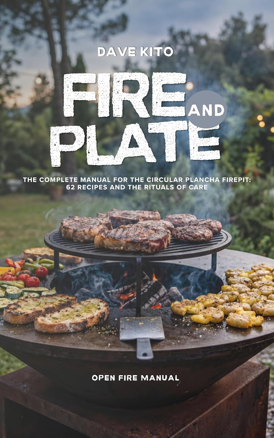 Fire and Plate book cover